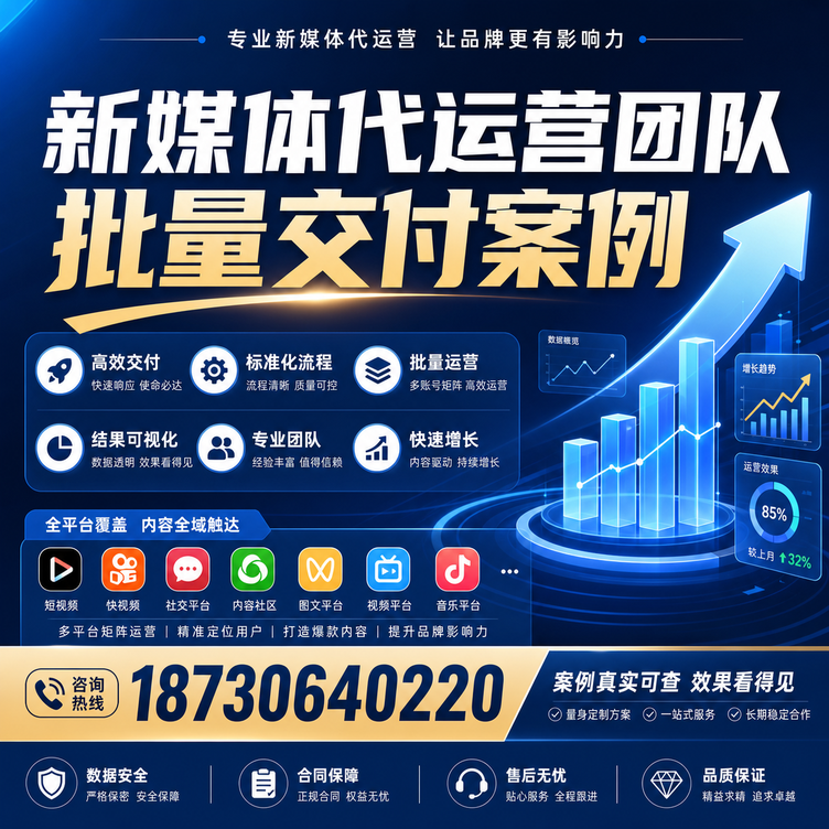 巴彦淖尔代运营公司多客户账号批量高效交付案例
